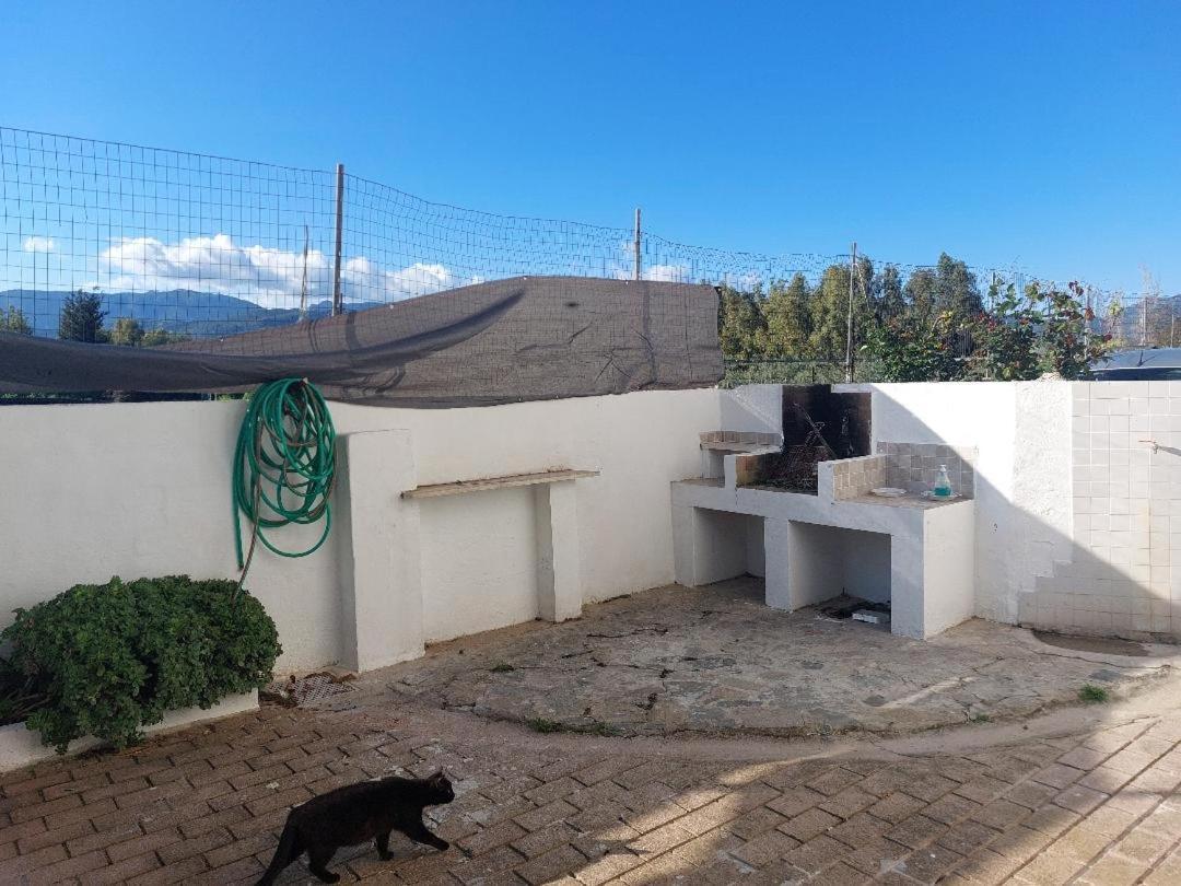 Casa Juanne Iun P2043